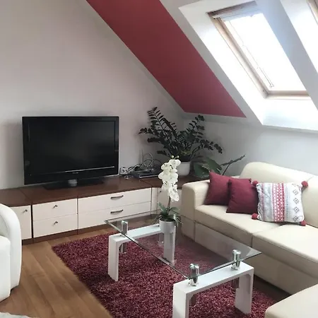 Apartman With A Parking Space Ravna Gora, Gorski Kotar - 20790