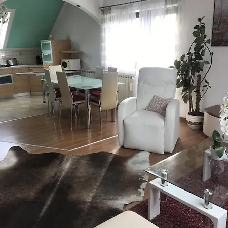 With A Parking Space Ravna Gora, Gorski Kotar - 20790 Apartman Ravna Gora